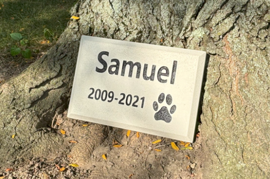 Pet Headstone - With Icon