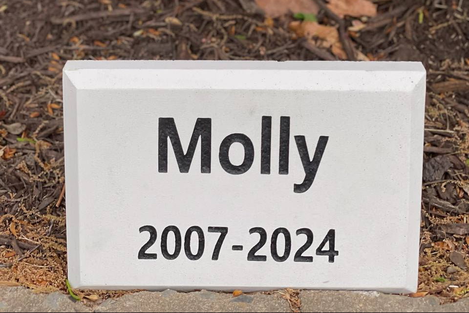 Basic Concrete Pet Grave Marker