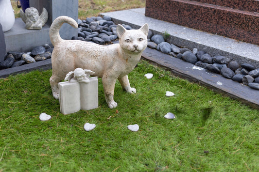 Top 10 Tips for Designing Custom Pet Memorial Stones
