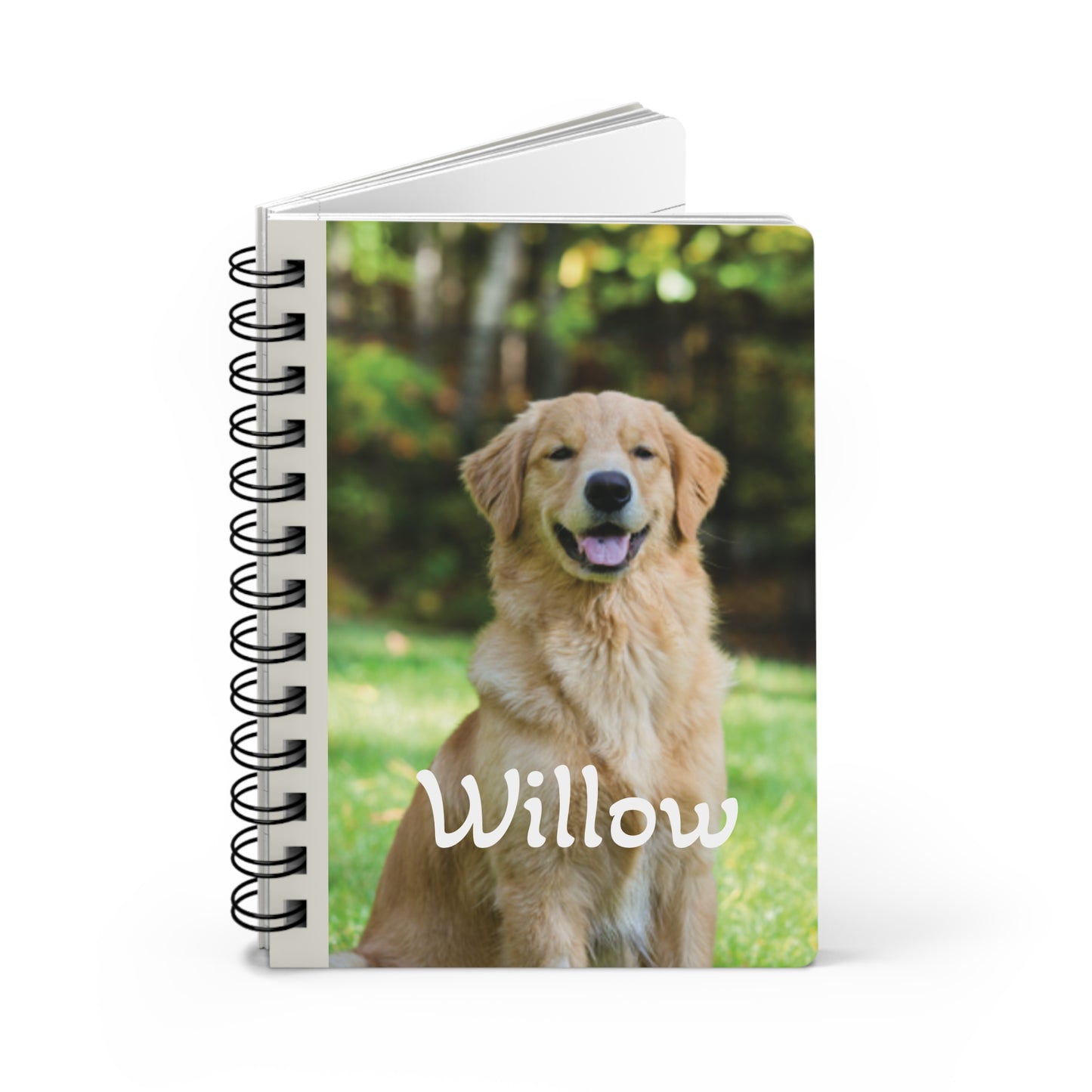 Grieving Pet Parent's Eternal Tribute Package