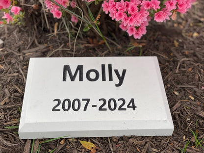 Basic Engraved Memorial Pet Stone