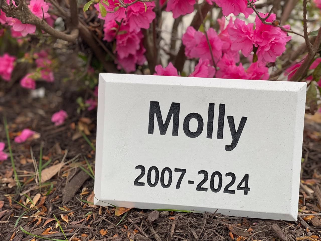 Basic Engraved Memorial Pet Stone