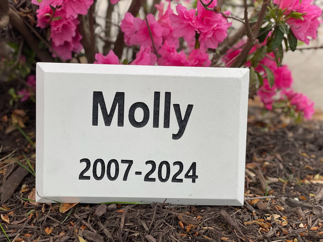 Basic Engraved Memorial Pet Stone