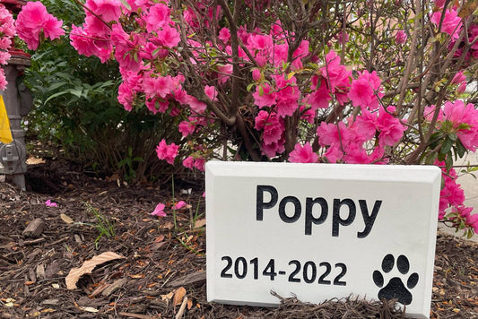 Memorial sign for a pet named Poppy with years 2014-2022, surrounded by pink flowers.